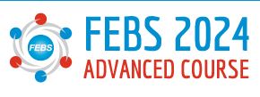 FEBS2024.JPG (11 KB)