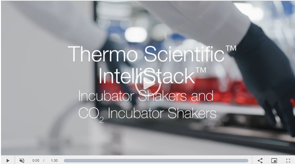 IntelliStack4.jpg (46 KB)
