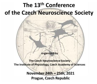 +13 konferNeuroscience 21.jpg (53 KB)