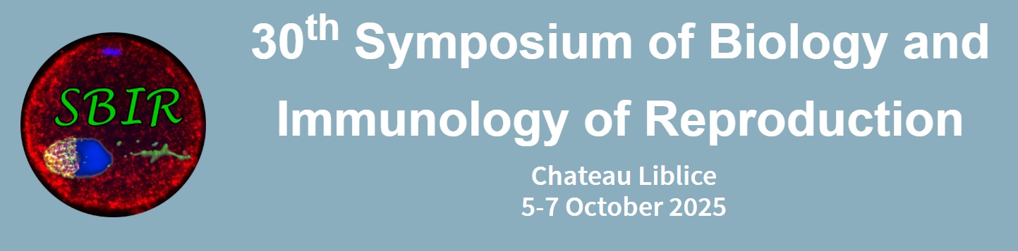 sbir2025.jpg (90 KB)