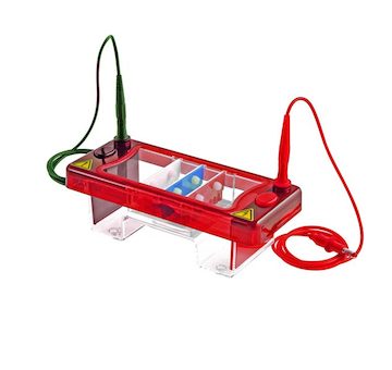 SynMini